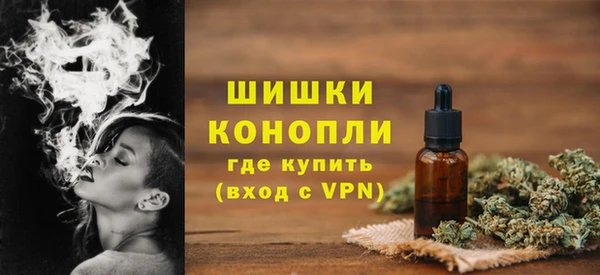 шишки Алзамай