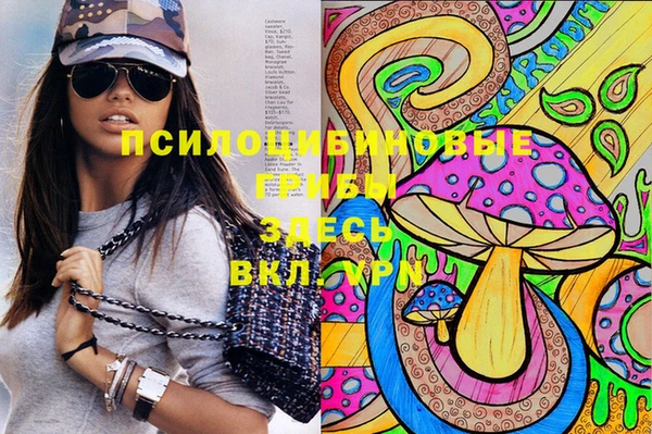 экстази Алексин