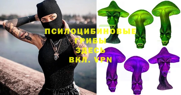 шишки Алзамай