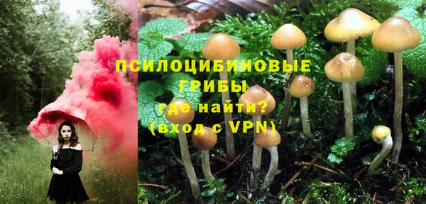 экстази Алексин