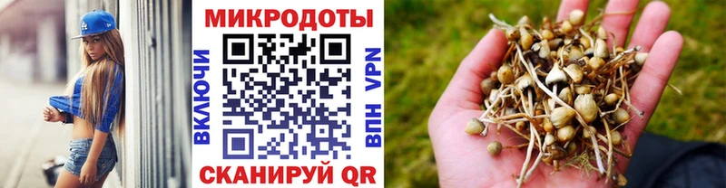 купить наркотики сайты Комсомольск это клад Галлюциногенные грибы Magic Shrooms